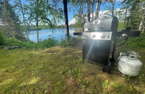 Ely Cabin | Cabin 3 'Kingfisher' 1 BR, 2 pp, overlooks lake, access to boats!