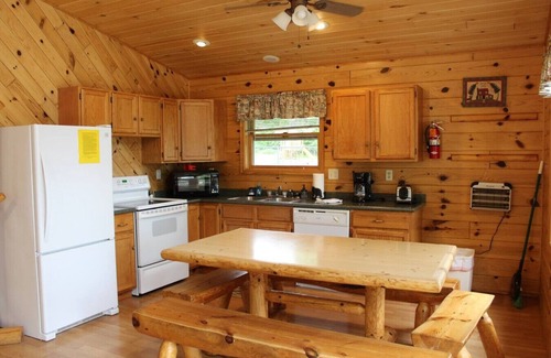 Deer River Cabin | Cabin 5 - Modern Cabin with A/C and lake views - Fully handicap accessible