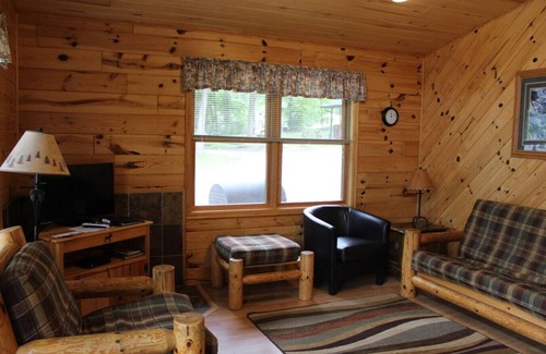 Deer River Cabin | Cabin 5 - Modern Cabin with A/C and lake views - Fully handicap accessible