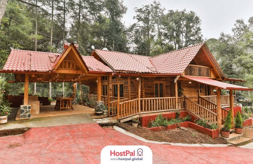 Acaxochitlan Apartment | Cabin at the Woods l Pet Friendly