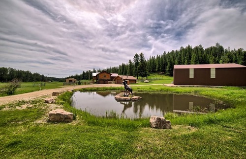Nemo Cabin | Cabin close to Nemo, private stocked pond and hot tub great for families!