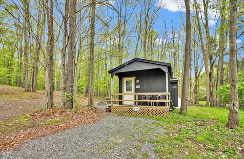 Wellsboro Apartment | Cabin full bath Summa