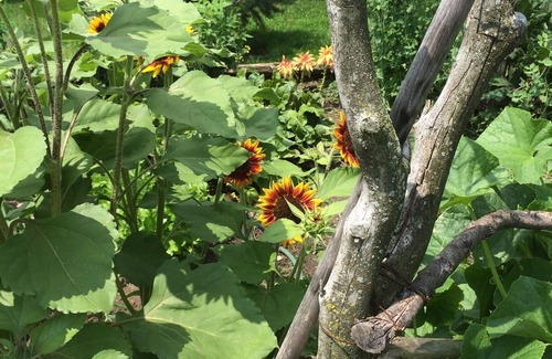 Bellevue Cabin | Cabin rental near Cedar Point, Lake Erie, with Hot Tub, Campfire Pit, Gas Grill