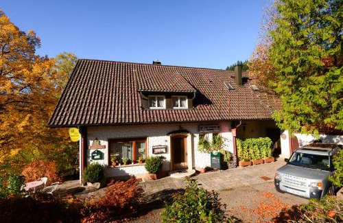 Bad Peterstal-Griesbach Apartment | Café Pension Waldfrieden