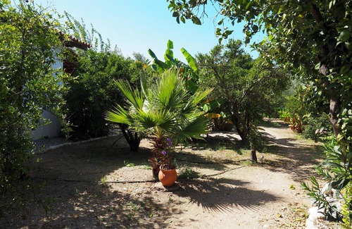 Kakovatos House | Calm located, amid an olive grove, close to the beach, wifi | holiday house Ilia