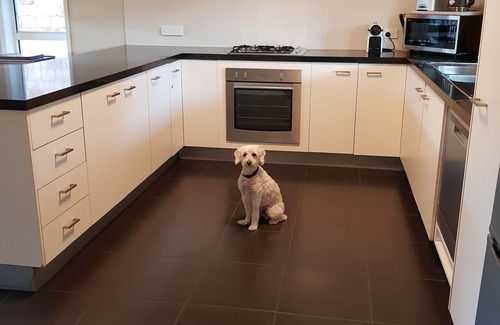 Caloundra House | Caloundra Beach Townhouse - Pet friendly.