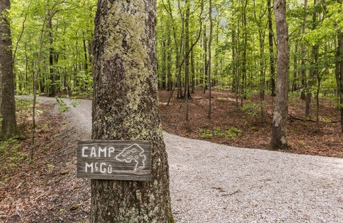 Clifftops House | Camp McGu: Lakefront, Boats Included, 3 Fireplaces + Firepit, Gorgeous Setting