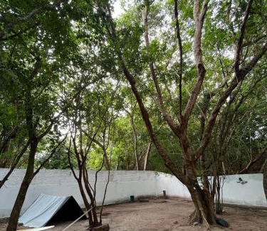 Pipa Other | Camping do Jacaré