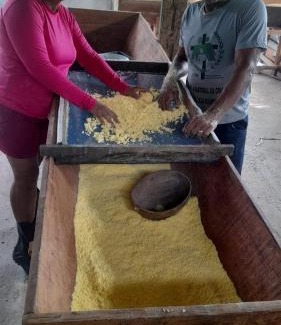 Castanhal Other | Camping em Castanhal para COP 30