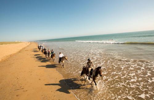 Saint-Hilaire-de-Riez Other | Camping le Clos des Pins