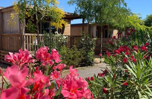 Malgrat de Mar Other | Camping Resort Els Pins