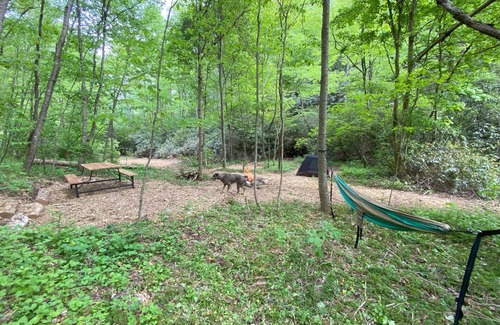 Zirconia RV Rental | Campsite 2 - Creekside on 38 acres- biking and hiking trails