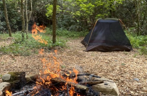 Zirconia RV Rental | Campsite 2 - Creekside on 38 acres- biking and hiking trails