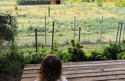Sigean House | Campsite La Grange Neuve* - PRIVILEGE SUITE - Reserve View - 2 people