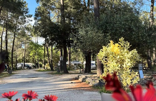 Bollene Ski Chalet | Campsite La Simioune* - Chalet BRUYERE - 2 bedrooms + TV (2 adults maximum and 3 children under 14 years old) 2 to 5 people - 2 people. included in the price