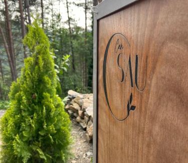 Sant Joan de Les Abadesses House | Can Sau