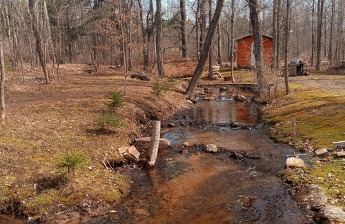 Luther Cabin | Cannabis Cabin 2 (with extras)