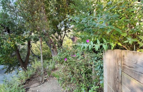 San Carlos House | Canyon Oak House: Private & tranquil home among the trees