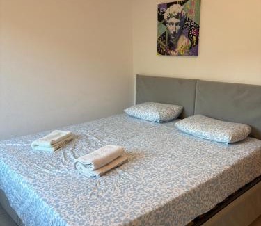 Capolago Apartment | Capolago lake apartment