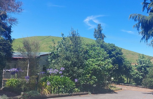 Rerewhakaaitu Cabin | Captivating rural beauty, serene getaway, nestled midway Rotorua & Taupo.