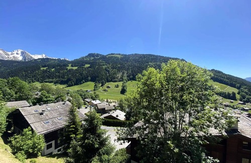 Le Grand-Bornand Apartment | Caribou Residence - Charming Studio + cabin - 26m2 - 5 people