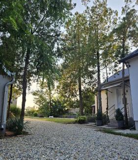 Central Banat District House | Carska oaza