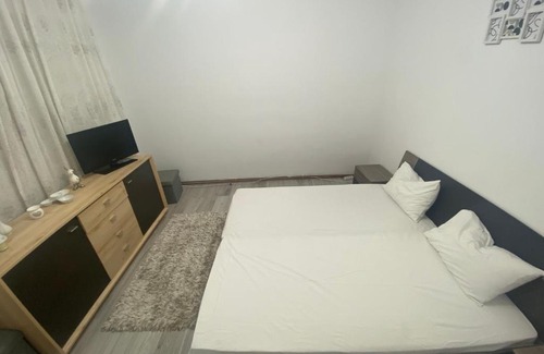 Satu Mare Villa | Casă perfecta pt o familie!