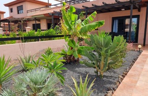 La Oliva House | Casa Azul