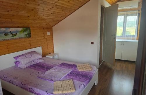 Turda House | Casa Baciu