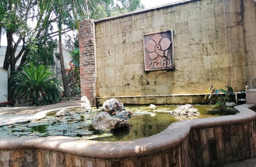 Yautepec House | Casa Cactacea, Alberca, Garden, Fogata, Camino a Ticuman. 10 people