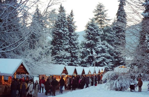 Levico Terme Bed & Breakfast | Casa Carolina