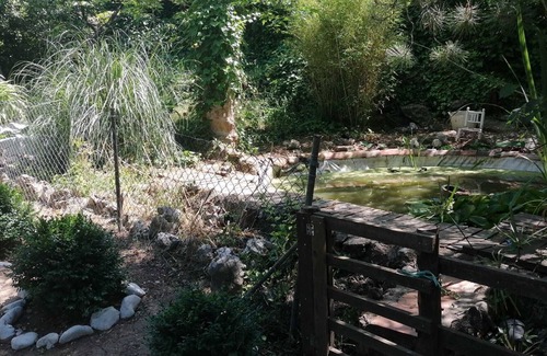 Sotillo de las Palomas Cottage | Casa con Piscina, Amplio Jardín y Barbacoa. En Montaña, Rodeada de Naturaleza