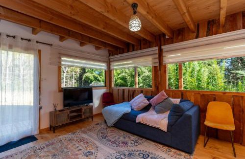 Pucon House | Casa con Tinaja y vista al Volcán