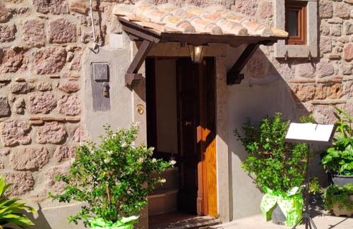 Soriano nel Cimino House | Casa d'artista: E poi tornarono le rondini.