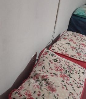 Jardim das Hortensias House | Casa da Família Carvalho Teixeira