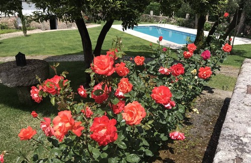 Fatauncos House | CASA DA PRAÇA - TRANQUILITY AND COMFORT AT A FANTASTIC PRICE