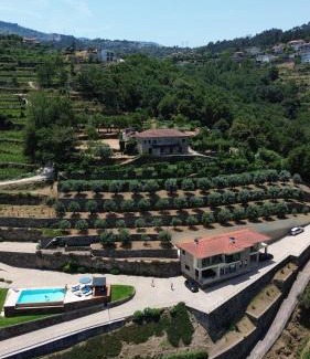 Cinfaes House | Casa das Oliveiras, o Douro no seu esplendor!