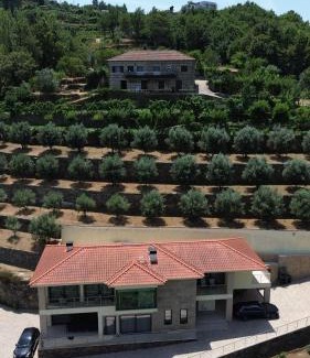 Cinfaes House | Casa das Oliveiras, o Douro no seu esplendor!