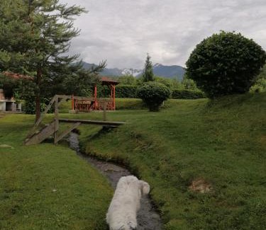 Arpasu de Sus House | Casa de vacanța Marin