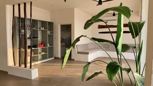 Arambol Villa | Casa Dior, A Beach View Villa, Goa