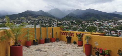 Oaxaca House | Casa Donaji