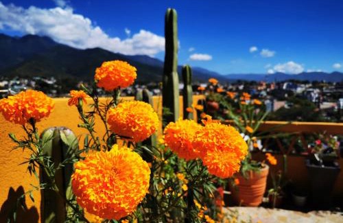 Oaxaca House | Casa Donaji