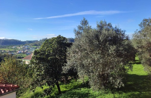 Ourem Cottage | Casa dos Fetos, ideal for your relaxing vacation and our unique hospitality