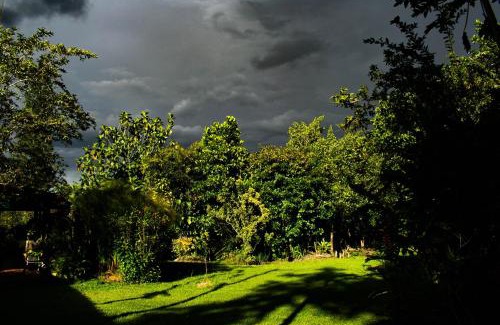 Charala Bed & Breakfast | Casa El Cedro