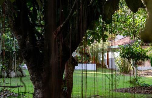 Charala Bed & Breakfast | Casa El Cedro