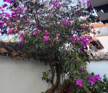 Old Town House | Casa Familiar Central Villa Diana