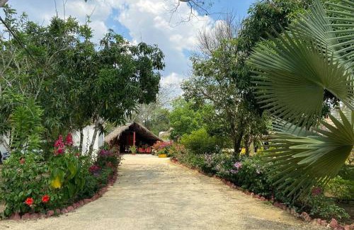 Arjona House | Casa Finca La Maquinaria