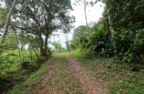 Tamesis House | casa finca octavia para descansar