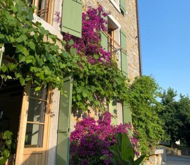 Muggia Bed & Breakfast | Casa Fiorita B&B Muggia