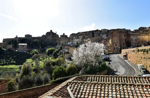 Siena City Centre Apartment | Casa in Contrada - Apartment near the Tower
